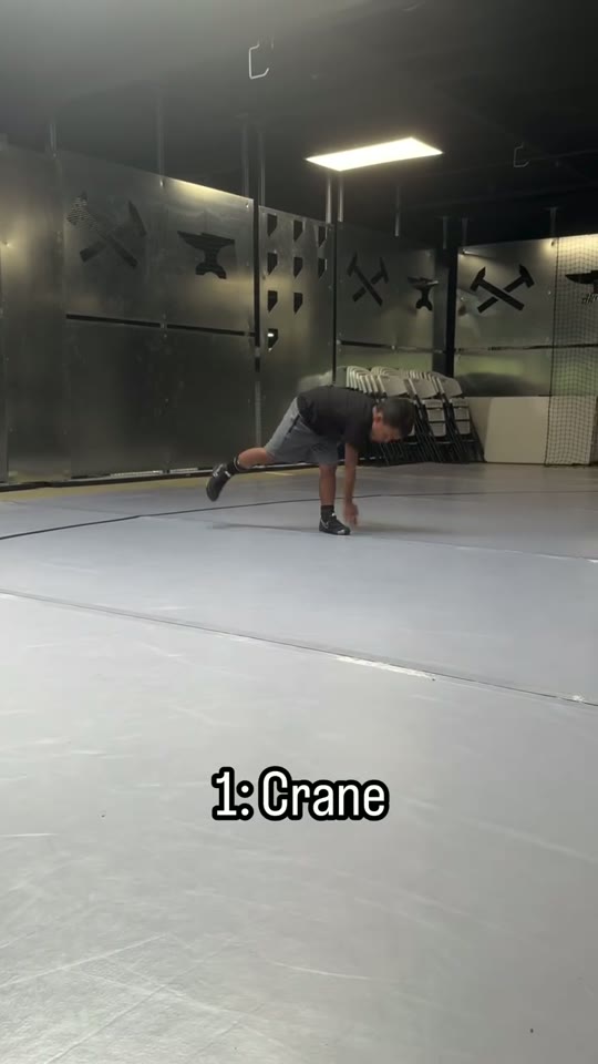 Crane: single-leg forward reach: screenshot from the supplied demonstration at 0:07
