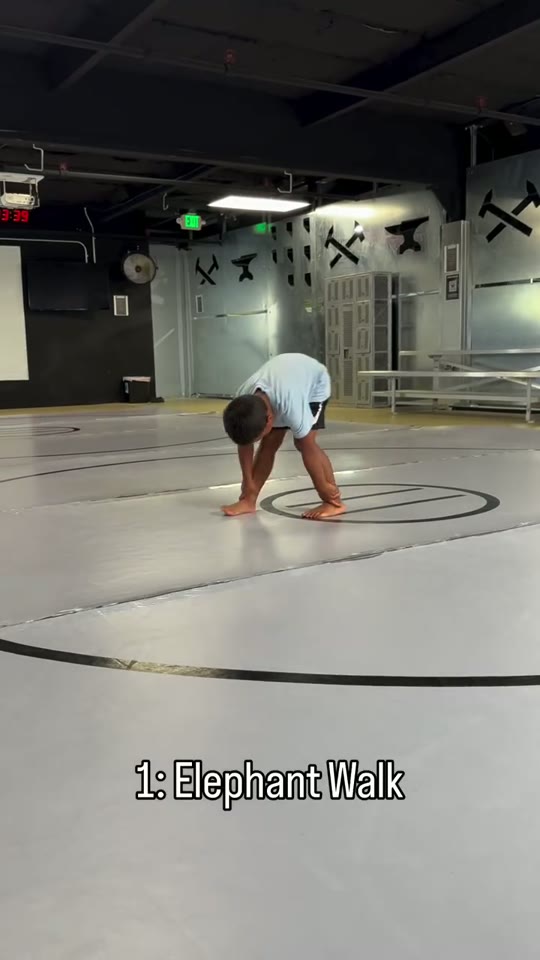 Elephant walk: folded-over steps: screenshot from the supplied demonstration at 0:04