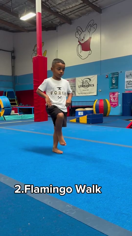 Flamingo walk: high-knee steps: screenshot from the supplied demonstration at 0:07