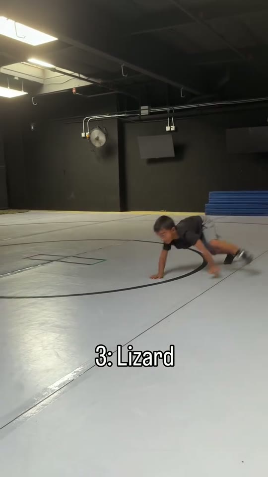 Lizard: wide, low crawl: screenshot from the supplied demonstration at 0:18