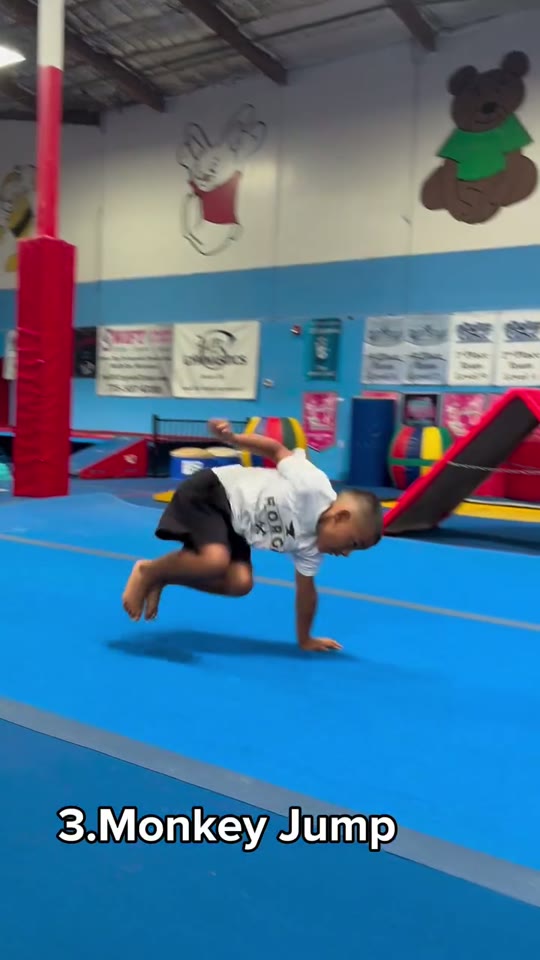 Monkey jump: sideways hop on 1 hand: screenshot from the supplied demonstration at 0:11