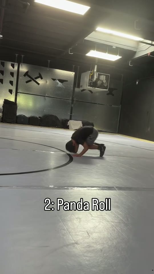 Panda roll: forward somersault: screenshot from the supplied demonstration at 0:14