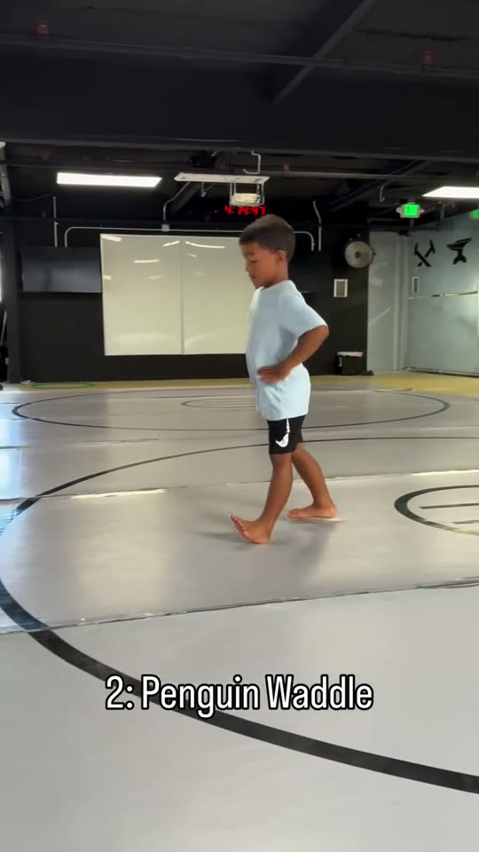 Penguin waddle: heel steps: screenshot from the supplied demonstration at 0:07