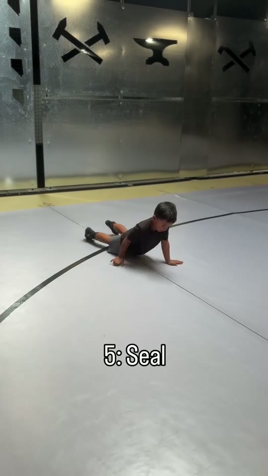 Seal: hand-supported travel with legs trailing: screenshot from the supplied demonstration at 0:25