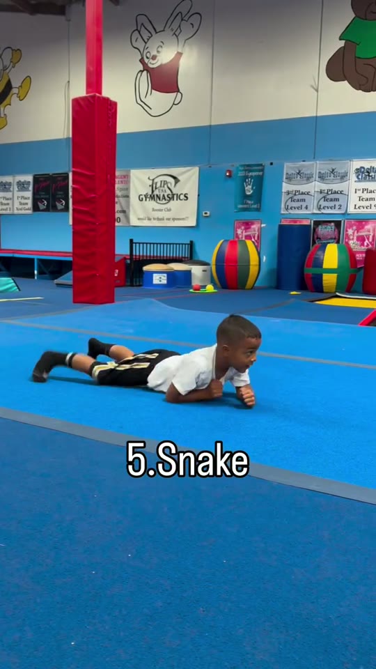 Snake: belly crawl using the forearms: screenshot from the supplied demonstration at 0:17